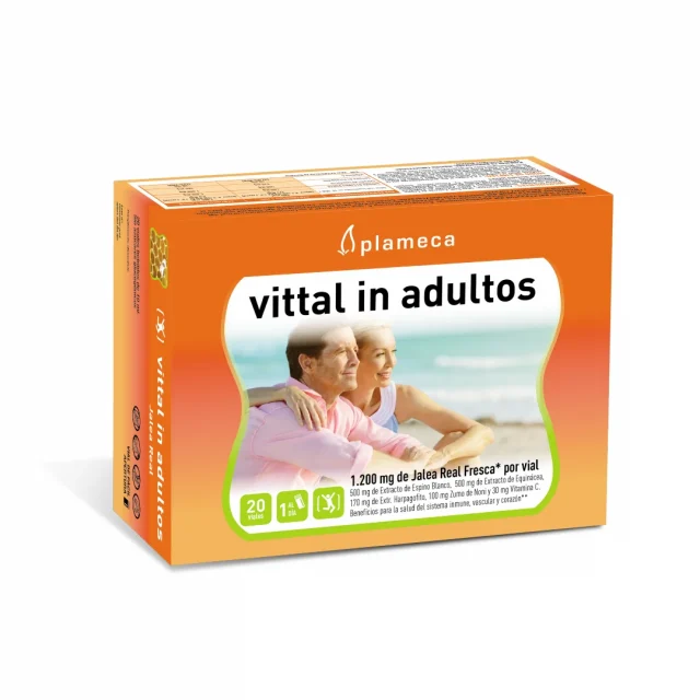 Vittal in adultos plameca